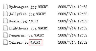 成都网络推广公司