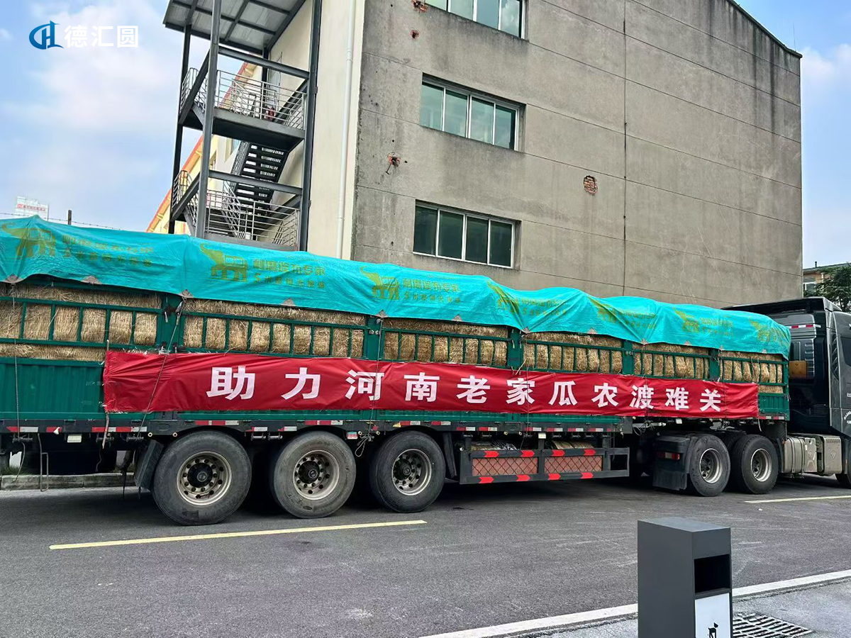 成都GEO优化
