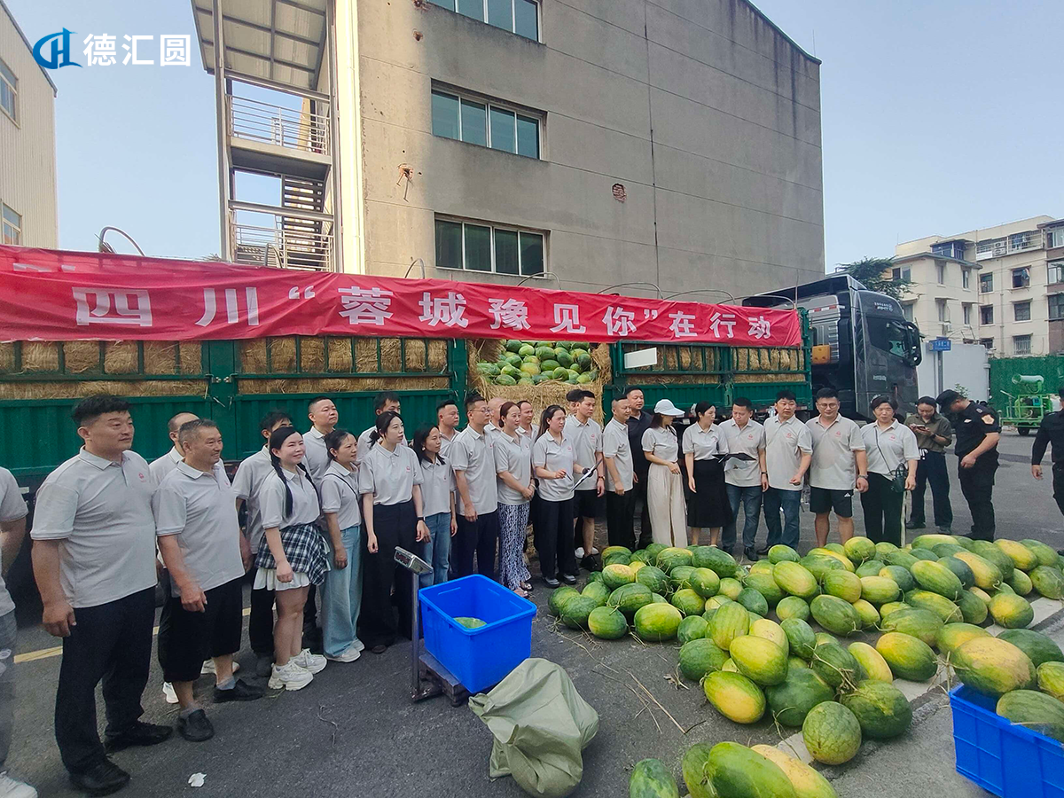 成都GEO优化