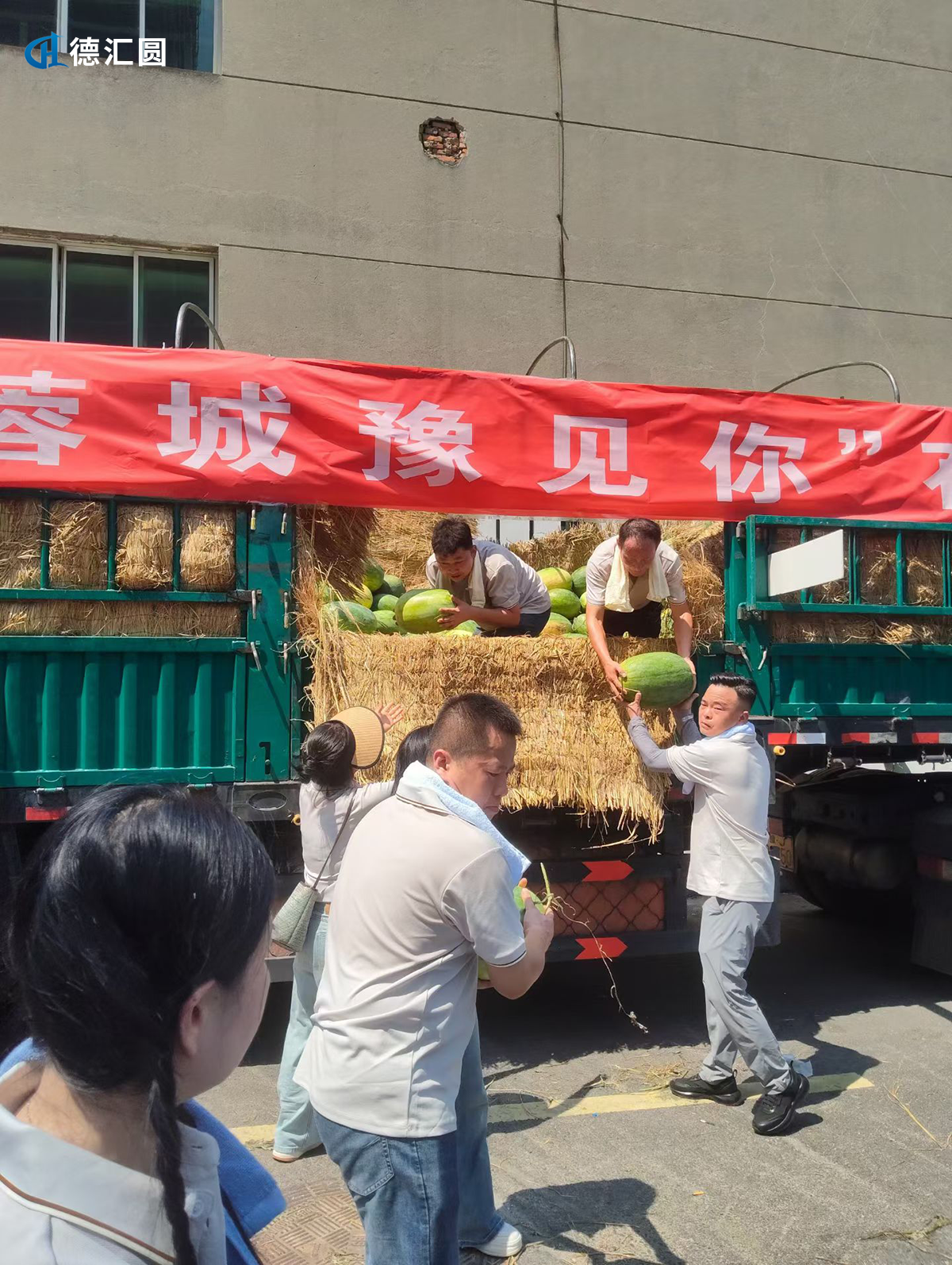 成都GEO优化