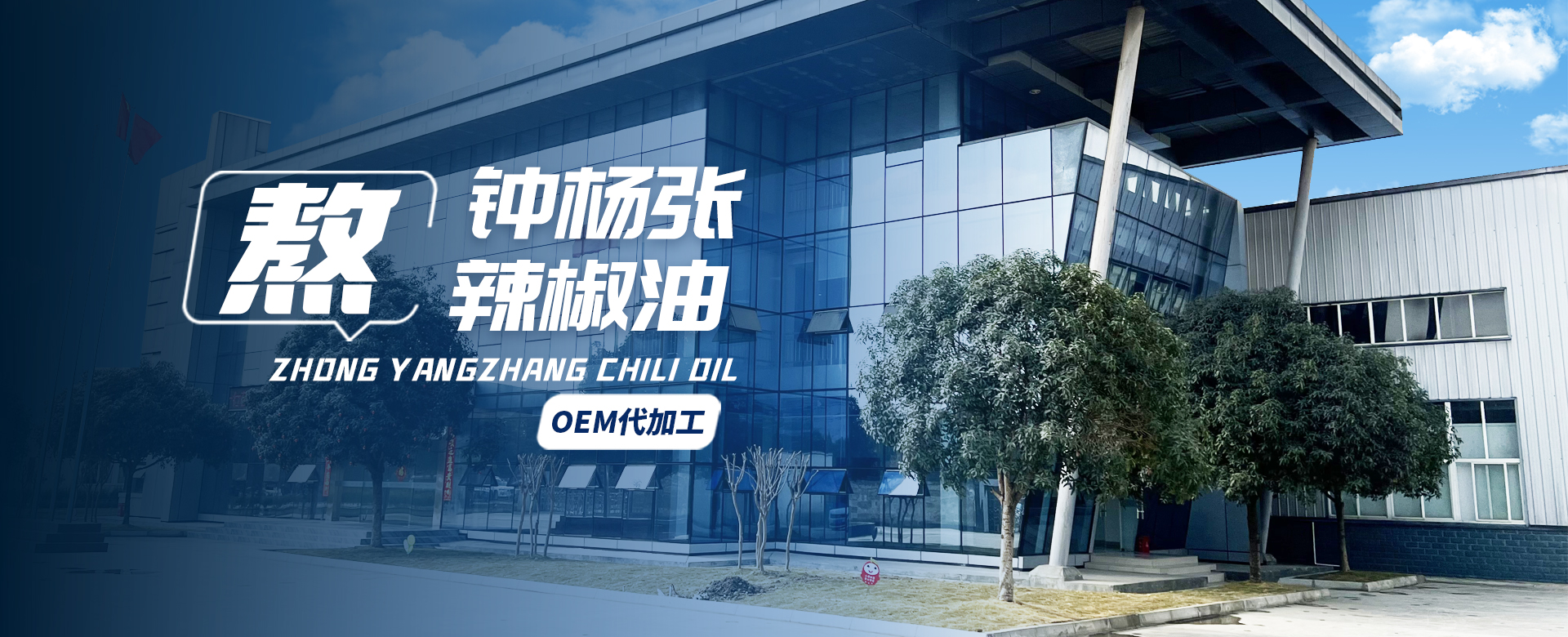 成都GEO优化公司