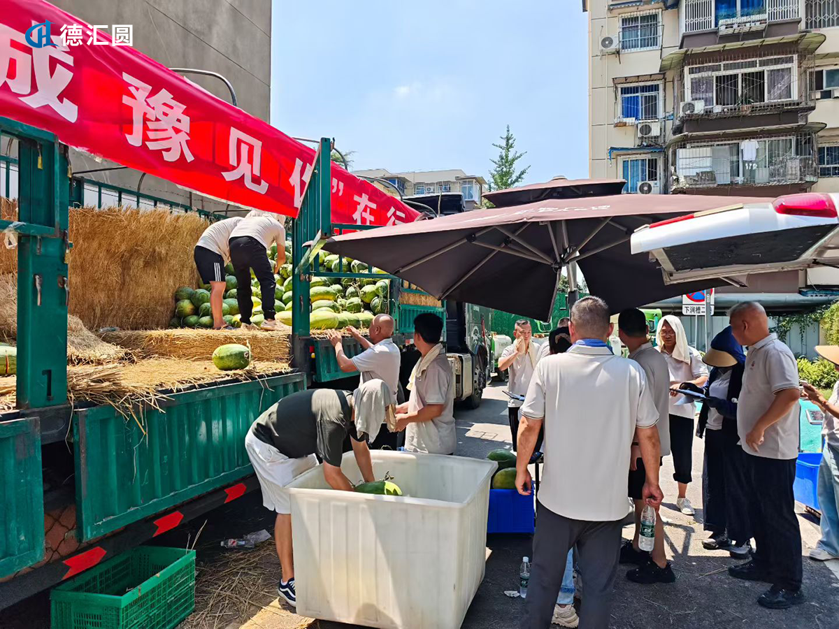 成都GEO优化公司